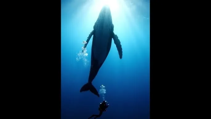 斗罗大陆182 - 深蓝星球：探索海洋深处的未知世界